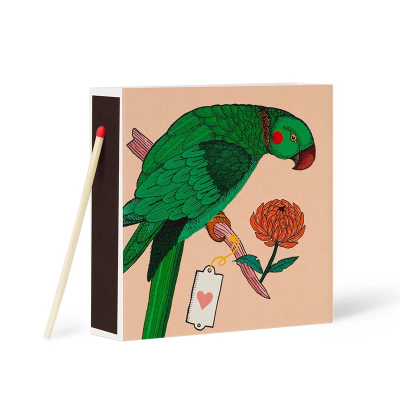 Allumettes Perroquet