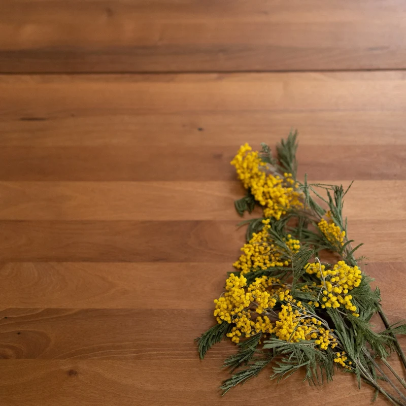 Table de salle à manger à rallonges en bois massif SWEDEN | NordicStory