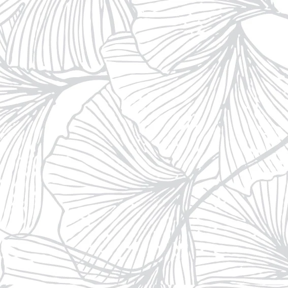 Vinyle Gingko Gris Cendre 50x300 cm