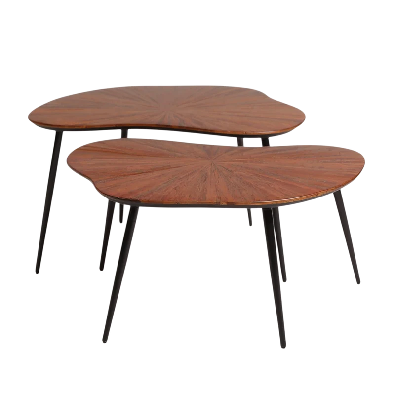 Table basse gigogne forme libre set de 2