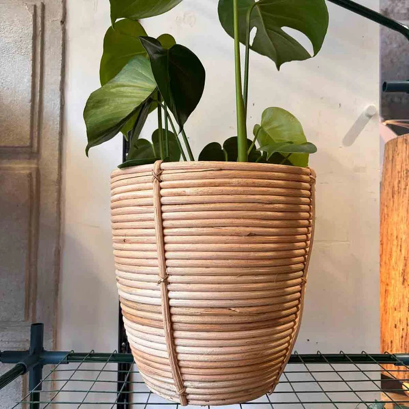 CACHE POT ROTIN