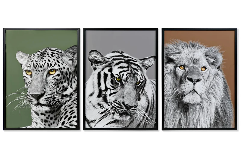 Set 3 Tableaux Félins