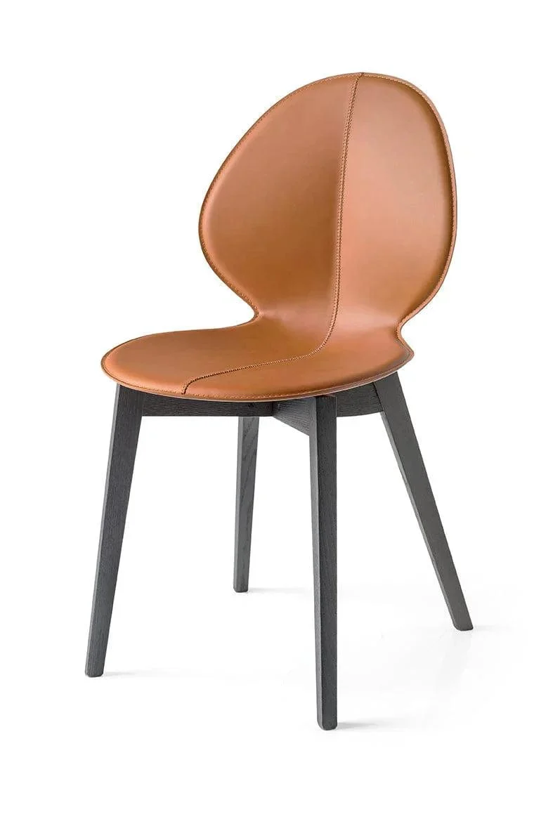 Chaise Calligaris - Basil Wood (CS1348)