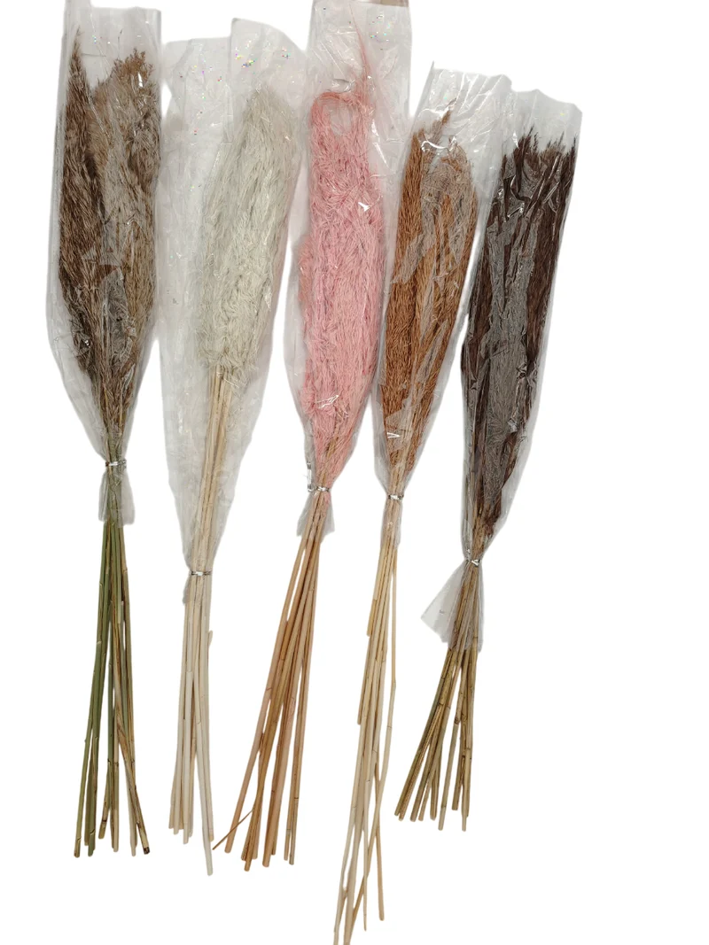Roseaux secs, H70CM