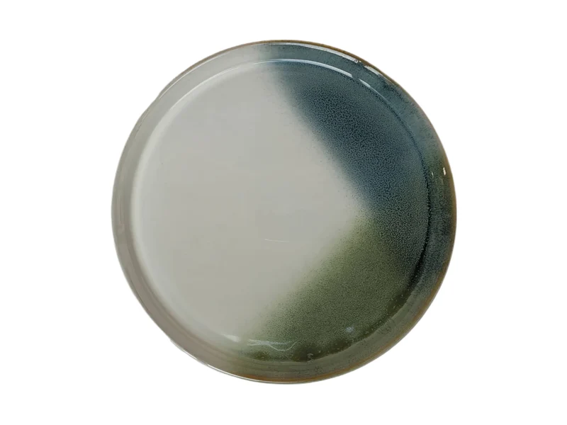 Assiette plate en ceramique, D27CM - LILOU