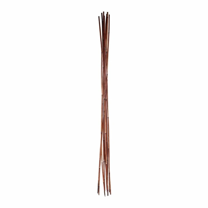 Bamboo couleur bois