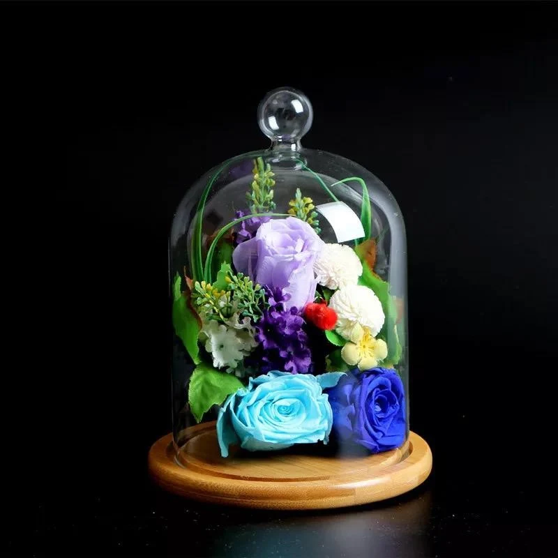 Cloche en verre YOKUSUKA avec base en bois H14CM