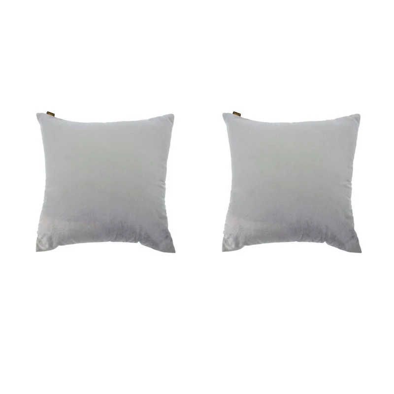 Lot de 2 coussins VILLETTA déhoussables en velours gris 40x40