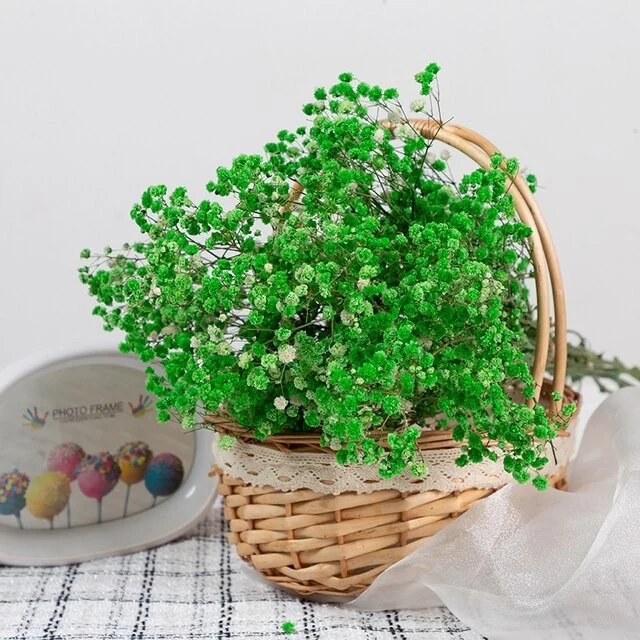 Bouquet de gypsophile séché et emballé, 100g, H75cm