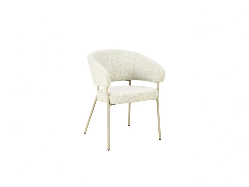 Lot de 2 chaises CALY
